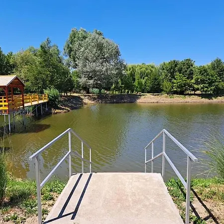 Golya-to Vendeghaz 2 *