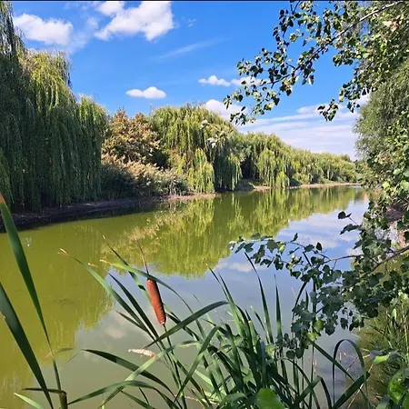 בית נופש Golya-to Vendeghaz 2 Vajdácska